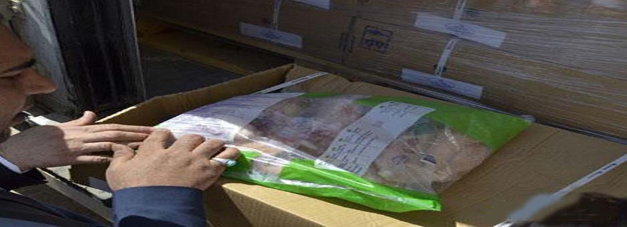 ضبط 100 طن من الدجاج التركي المحظور بمنفذ الشلامجة الحدودي في البصرة